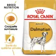 Royal Canin Dalmatien Adulte Croquettes Chien
