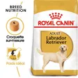 Royal Canin Labrador Retriever Adulte