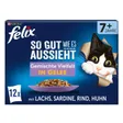 Felix Aussi bon que beau Senior