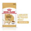 Royal Canin Labrador Retriever Adult