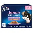 Felix Aussi bon que beau Junior