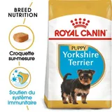 Croquettes Chiot Yorkshire Terrier