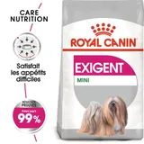 Exigent Mousse