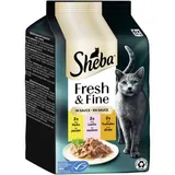 Fresh Fine Nourriture humide pour chat adulte Multipack en sauce Poulet, saumon et dinde