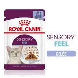 SENSORY Feel en gelée pour les chats difficiles