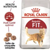 Fit 32 Croquettes Chat