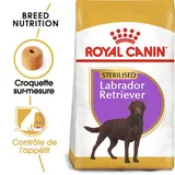 Labrador Adulte Stérilisé Croquettes Chien