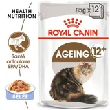 Ageing +12 en gelée