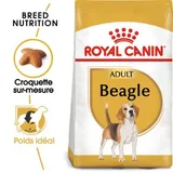 Beagle Adulte Croquettes Chien