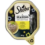 Seasons Collection variétés changeantes