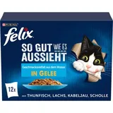 Aussi bon que beau Variété de saveurs aquatiques