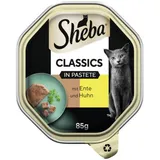 Classics en pâté avec canard et poulet