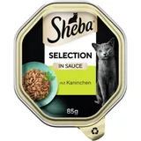 Selection en sauce avec morceaux de lapin