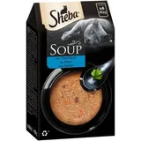 Soup Filet de thon