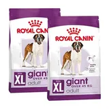SHN Giant Adult