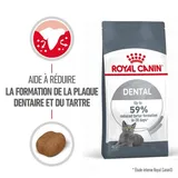 Dental Care Croquettes Chat