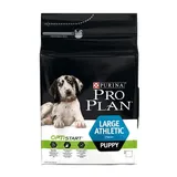 Chien Large Puppy Athletic Riche en Poulet