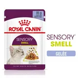 SENSORY Smell en gelée pour les chats difficiles