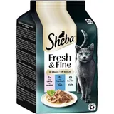 Fresh Fine Nourriture humide pour chat adulte Multipack en sauce Saumon, thon et truite
