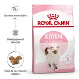 Kitten pour chaton Croquettes Chat