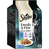 Fresh & Fine nourriture humide pour chat adulte, multipack, en gelée Thon, saumon et poisson blanc