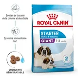 Giant Starter Croquettes Chien