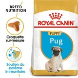 Carlin Chiot Croquettes Chien