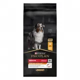 adulte Medium Everyday Nutrition poulet