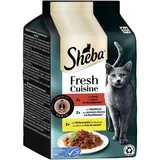 Fresh Cuisine nourriture humide pour chat adulte multipack Taste of Paris