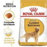 Golden Retriever Adulte Croquettes Chien