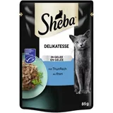 Délicatesse en gelée Thon