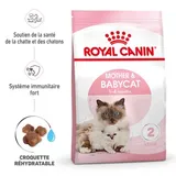 Mother & Babycat Croquettes Chat