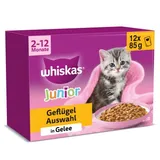 Multipack Junior sélection de volailles en gelée