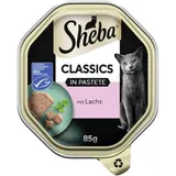 Classics Nourriture humide pour chat adulte en pâté Saumon