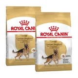 Berger Allemand Adulte Croquettes Chien