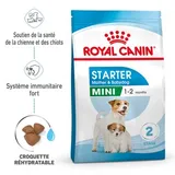 Mini Starter Croquettes Chien