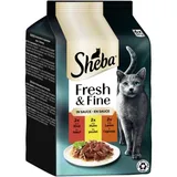 Fresh Fine Nourriture humide pour chat adulte Multipack en sauce Boeuf, poulet, agneau