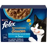 Sensations Variété de saveurs aquatiques