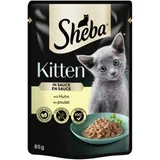 Kitten en sauce Poulet