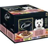 Sélection en sauce sachet fraîcheur Multipack