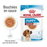 Medium Puppy en sauce
