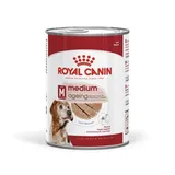 Medium Ageing Mousse