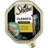 Classics en pâté Cocktail de volaille