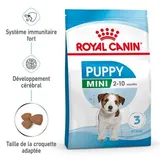 Mini Chiot Croquettes Chien