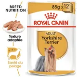 Yorkshire Terrier Adulte Mousse
