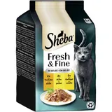 Fresh & Fine nourriture humide pour chat adulte, multipack, en gelée Dinde, poulet et volaille