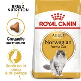 Norvégien Adulte Croquettes Chat