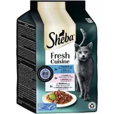 Fresh Cuisine nourriture humide pour chat adulte multipack Taste of Tokio
