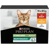 Maintenance Multivariété Sterilised Boeuf & Poulet