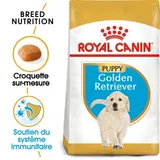 Golden Retriever Chiot Croquettes Chien